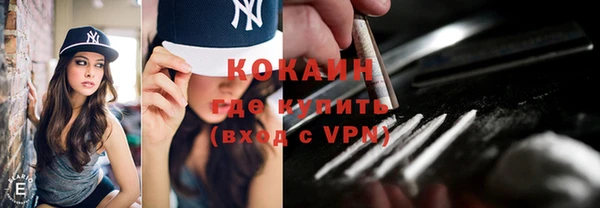 гашик Новозыбков
