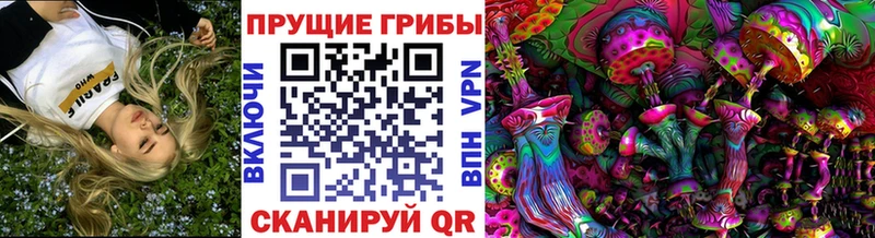 Псилоцибиновые грибы Psilocybe  Анива 
